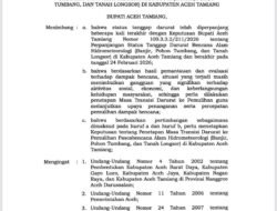 Aceh Tamiang Memasuki Masa Transisi Pemulihan Pasca Bencana