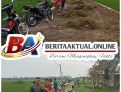 Gotong Royong 50 Warga, Jalan Penghubung Mangga Dua–Pematang Pelintahan Diperbaiki Secara Swadaya