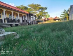 Rumput Tinggi di Halaman UPTD SPF SD Takal Pasir, Sorotan Tajam Publik Mengarah ke Pengelolaan Sekolah
