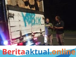Terbongkar! Dugaan Penebangan Kayu Jati Perhutani di Kuningan “Main Luar Jalur”, Sopir Akhirnya Mengaku