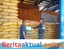 Rutin Pantau Gudang Bulog, Piket Koramil 1426-01/Polut Pastikan Ketersediaan Beras di Takalar