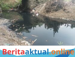 Limbah Hitam Pekat Diduga dari Pabrik CBA Cemari Sungai, Petani Pasir Buyut Alami Kerugian 