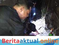 Sat Narkoba Polres Langkat Gerebek Lokasi Diduga Tempat Transaksi Sabu di Hinai