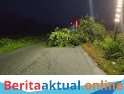 Hujan Disertai Angin Kencang, Pohon Tumbang Tutup Sebagian Jalan di Singkil