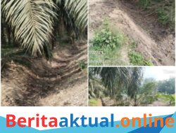 Normalisasi Parit Diduga Hanya Seremonial, Dana Desa di Aceh Tamiang Dipertanyakan