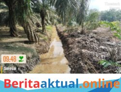 Mendahulukan Kerja Pakai Uang Pribadi Sebelum Dana Cair, Proyek Dana Desa di Aceh Tamiang Terindikasi Langgar Aturan   