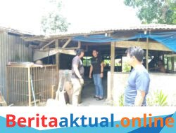 Dapat Informasi Judi Tembak Ikan Milik Diduga AK, Sat Reskrim Polres Sergai Sisir Dua Lokasi di Sei Bamban