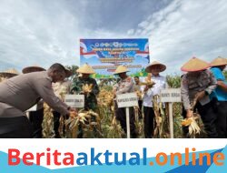 Sinergi Jaga Pangan, Polres Sergai Gelar Panen Raya Jagung dan Sukseskan Program Ketahanan Pangan Polri