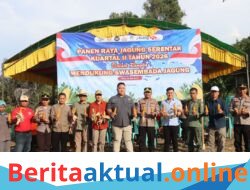Polres Buol mengikuti kegiatan Panen Raya Jagung Serentak Kuartal II yang digelar secara nasional bersama Presiden RI, Prabowo Subianto dan Kapolri Listyo Sigit Prabowo.