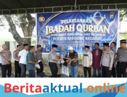 Polres Serdang Bedagai Sembelih Belasan Hewan Qurban Idul Adha 1447 H, Daging Dibagikan ke Personel hingga Masyarakat
