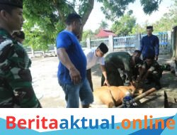 Kodim 1426 Takalar Tebar Kepedulian, Dandim Pimpin Pemotongan Hewan Kurban dan Salurkan Daging Kepada Warga