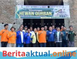 Pemuda Lintas Iman Sumut Gelar Pemotongan Hewan Qurban, Perkuat Toleransi dan Kebersamaan