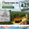 Tujuh Bulan Dikelola BUMD PT Rebung Permai Jaya, Belum Tunjukkan Kontribusi Nyata untuk PAD