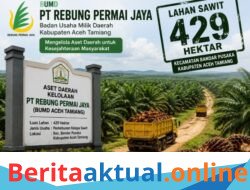 Tujuh Bulan Dikelola BUMD PT Rebung Permai Jaya, Belum Tunjukkan Kontribusi Nyata untuk PAD