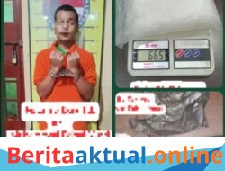 Langkat /beritaaktual.onlien  Langkat, 20 Mei 2026 – Sat Res Narkoba Polres Langkat kembali menunjukkan komitmennya dalam memberantas peredaran narkotika di wilayah hukum Polres Langkat.  Dalam pelaksanaan Kegiatan Rutin Yang Ditingkatkan (KRYD), petugas berhasil menggagalkan peredaran narkotika jenis sabu dengan barang bukti seberat bruto 600,65 gram dan mengamankan seorang terduga pelaku.  Pengungkapan tersebut dilakukan pada Selasa malam, 19 Mei 2026 sekira pukul 23.30 WIB di Dusun I Melati, Desa Paya Perupuk, Kecamatan Tanjung Pura, Kabupaten Langkat.  Kasat Res Narkoba Polres Langkat AKP Amrizal Hasibuan, S.H., M.H., menjelaskan bahwa pengungkapan berawal dari informasi masyarakat terkait adanya dugaan transaksi narkotika di lokasi tersebut.  “Atas informasi itu, personel Sat Res Narkoba Unit I yang dipimpin IPDA Kasrianto, S.H., langsung melakukan penyelidikan dan pengintaian di lokasi. Saat tiba di TKP, petugas mendapati terduga pelaku sedang berada di pinggir jalan tepatnya di depan rumah warga yang sedang ditinggal mudik. Saat itu diduga sedang berlangsung transaksi jual beli narkotika jenis sabu,” ujar AKP Amrizal.  Melihat kedatangan petugas, seorang pria yang diduga sebagai pembeli berhasil melarikan diri, sementara satu orang terduga pelaku berhasil diamankan petugas di lokasi.  Dari hasil penggeledahan, petugas menemukan barang bukti berupa 1 bungkus plastik bening besar diduga berisi narkotika jenis sabu dengan berat bruto 600,65 gram, 1 buah tas tangan warna hitam, 1 buah plastik asoi warna hitam, serta 1 unit handphone merk Samsung warna hitam.  Terduga pelaku yang diamankan berinisial MFY (24), warga Kabupaten Aceh Timur, saat dilakukan interogasi awal, MFY mengakui bahwa narkotika jenis sabu tersebut adalah miliknya.  Kapolres Langkat AKBP David Triyo Prasojo, S.H., S.I.K., M.Si., memberikan apresiasi atas gerak cepat personel Sat Res Narkoba dalam menggagalkan peredaran narkotika tersebut.  Menurutnya, keberhasilan ini merupakan bentuk keseriusan Polres Langkat dalam menjaga masyarakat dari ancaman bahaya narkoba.  “Kami tidak akan memberi ruang bagi pelaku peredaran narkotika di wilayah hukum Polres Langkat, pengungkapan ini menjadi bukti bahwa Polri hadir dan terus bekerja melindungi masyarakat serta generasi muda dari dampak buruk narkoba,” tegas Kapolres.  Kapolres juga menegaskan bahwa pihaknya akan terus melakukan pengembangan guna mengungkap jaringan peredaran narkotika lainnya yang berkaitan dengan kasus tersebut.  Sementara itu, Kasi Humas Polres Langkat AKP Jackson Situmorang SH, menyampaikan bahwa masyarakat dapat memanfaatkan layanan Call Center 110 untuk melaporkan berbagai bentuk tindak kriminalitas maupun gangguan kamtibmas lainnya secara cepat dan gratis.  Saat ini terduga pelaku beserta barang bukti telah diamankan di Sat Res Narkoba Polres Langkat guna proses penyidikan dan pengembangan lebih lanjut.  ( Sandi Pratama Wartawan).