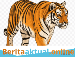 Harimau Berkeliaran, Camat Serbajadi Imbau Masyarakat Tetap Waspada