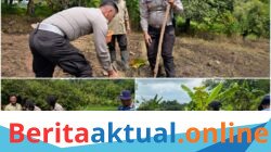 *​Wujud Nyata Polri Peduli Petani, Sat Lantas Polres Kuningan Sukseskan Program Ketahanan Pangan*