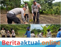 *​Wujud Nyata Polri Peduli Petani, Sat Lantas Polres Kuningan Sukseskan Program Ketahanan Pangan*