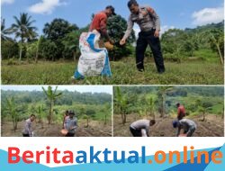 Sinergi untuk Ketahanan Pangan, Satlantas Polres Kuningan Turun Langsung ke Sawah Bantu Petani Desa Cibulan