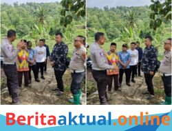 Dukung Ketahanan Pangan Nasional, Satlantas Polres Kuningan Monitoring Lahan Jagung di Desa Cibulan