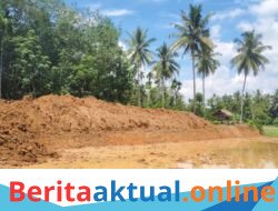 Warga Blang Raleu Buka Sawah Baru 8.400 Meter Persegi, Dukung Target Swasembada Pangan