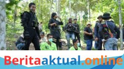Polres Lhokseumawe Musnahkan Ladang Ganja 2 Hektare di Sawang, Dua Pelaku Diamankan
