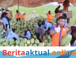 Petani Buah Sergai Rasakan Manfaat Positif Program MBG.