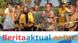 Dorong ketahanan pangan, Hamka B Kady Realisasikan Jalan Tani Di desa Pakkabba Galut