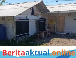 Fantastis! Investasi Rp225 Juta, Kandang BUMDes Sumber Raharja Tinggal 3 Ekor Puyuh, Ke Mana Hasil Penyertaan Modal Desa?
