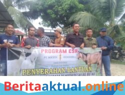 PT Socfindo Kebun Lae Butar Salurkan Bantuan Ternak Kambing, Wujud Nyata Kepedulian Bangun Ekonomi Masyarakat Desa