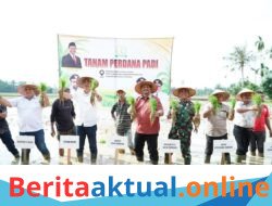 Sinergi Pasca-Bencana, Bupati Aceh Tamiang Siap Perkuat Ketahanan Pangan dan Bangkitkan Petani