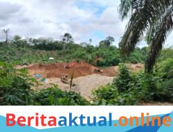 Diduga Polsek lingga bayu tutup mata Peti bebas beroperasi di aliran sungai Batang Natal.