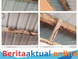 Revitalisasi SDN Rantau Pauh Diduga Bermasalah: Kayu Lapuk Terpasang, Anggaran Ratusan Juta Di Pertanyakan   