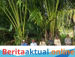 PT Socfindo Lae Butar Tegaskan Komitmen Lestarikan Sagu di Festival Sagu Singkil 2026