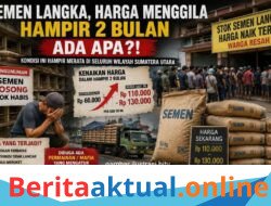 Semen Langka di Aceh, Humas DPP AWAI Desak Pemerintah Stabilkan Stok dan Harga