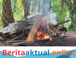 Gerebek Sarang Narkoba di Sungai Buaya, Gubuk Tempat Transaksi Sabu Dibakar, Satu Terduga Pelaku Diamankan