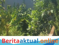 Diduga Belum Miliki Izin dan Melanggar Sempadan Sungai, Usaha Raja Seafood Bandorasawetan Terancam Sanksi Administratif Hingga Pembongkaran