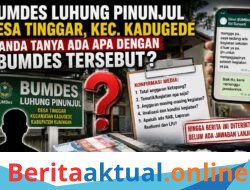 Bumdes Luhung Pinunjul Disorot, Anggaran Ketapang 2025 Masih Tanda Tanya