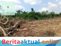 Diduga Alih Fungsi Kawasan Hutan Jadi Lahan PSR, Kegiatan Koperasi di Pulau Tiga Disorot