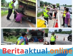 Dua Pekerja Pemotong Rumput Tewas Disambar Dump Truk di Tol Medan-Tebing Tinggi