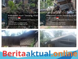 Balita Meninggal Dunia Tertimpah Pohon Tumbang Saat Tidur, Polisi Lakukan Olah TKP
