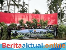 Polda Aceh Berhasil Musnahkan 18 Hektare Ladang Ganja di Aceh Utara