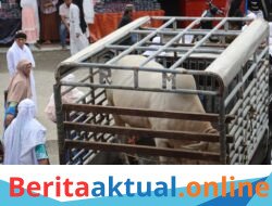 Kapolres Langkat Salurkan Bantuan Sapi untuk HUL ke-103 Tuan Guru Babussalam