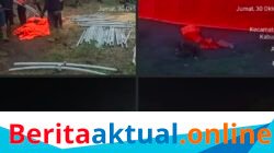 Pemda Bener Meriah Tetapkan Status Tanggap Darurat Bencana Nonalam Akibat Konflik Manusia Dengan Gajah Liar Di Pintu Rime Gayo